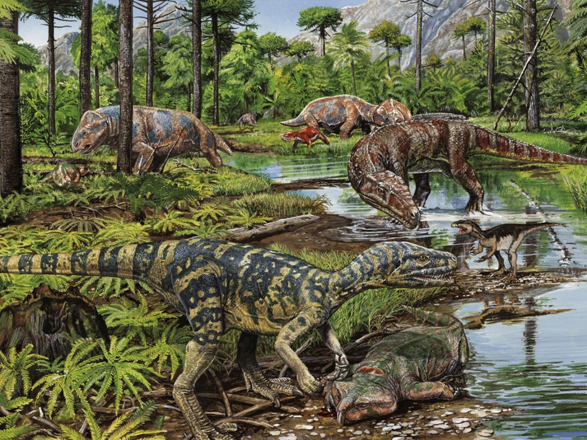 Triassic environment Triassic environment