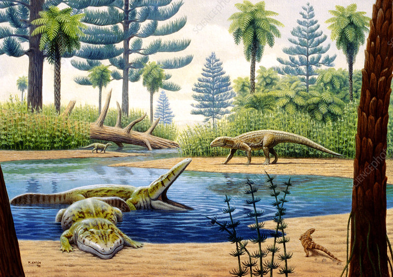 Triassic environment environment