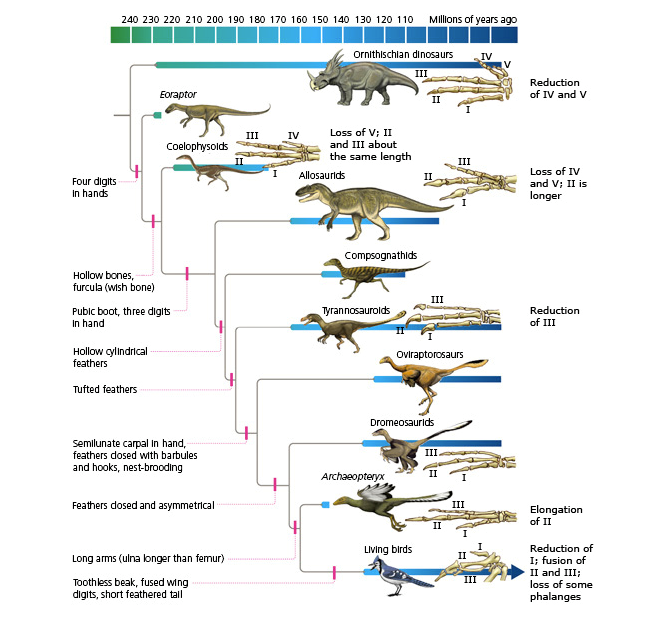 Triassic environment